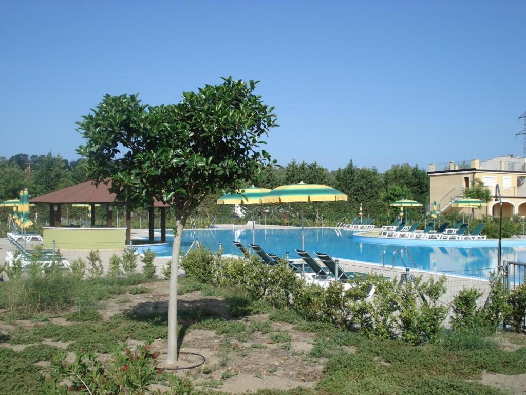 Apartamento Sonia Pizzo Beach Club Exterior foto
